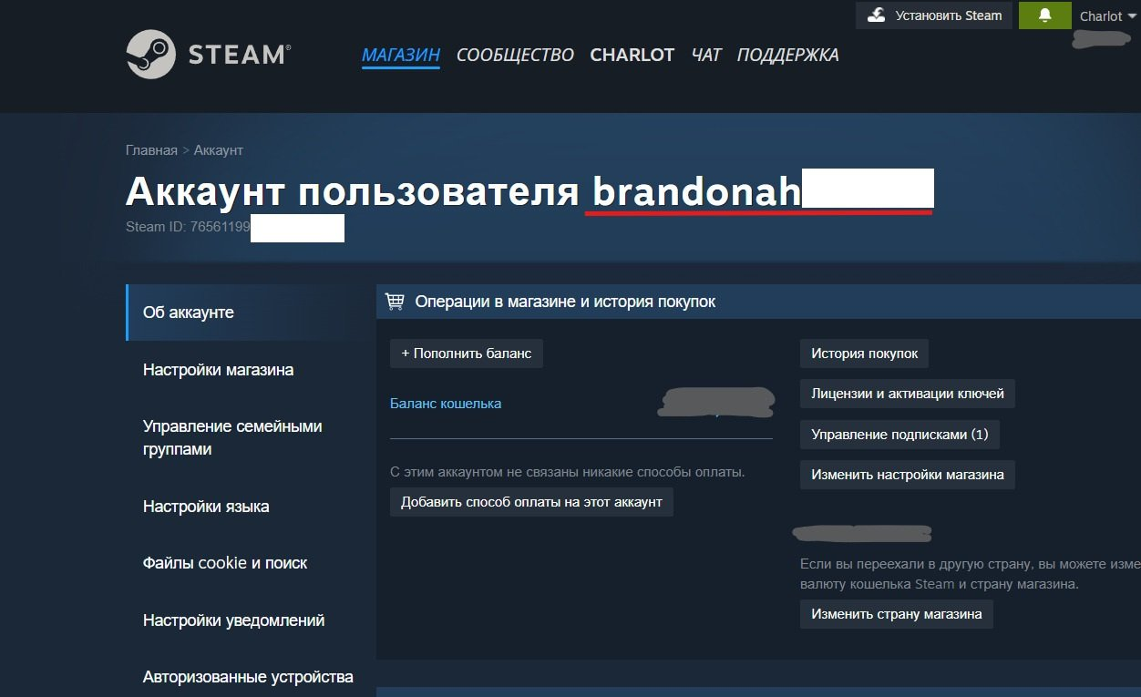 Где найти логин Steam